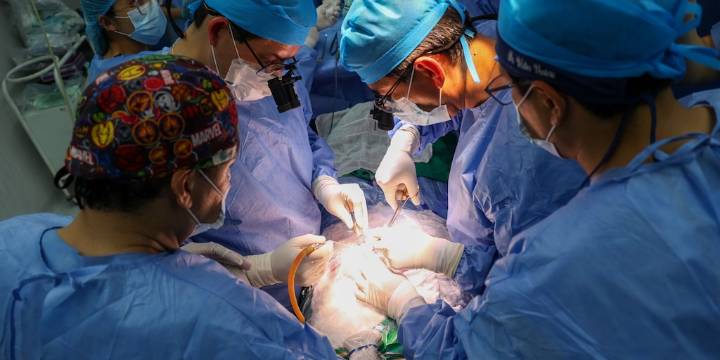 Hospital Eduardo Rebagliati: médicos operan a un bebé dentro del útero y la gestación continúa con éxito