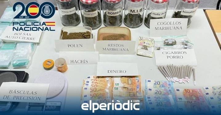 Desmantelado en Gandia un club de cannabis que generaba un trasiego constante de compradores