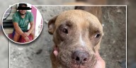 Detienen a hombre por abuso sexual contra una perrita en Cancún