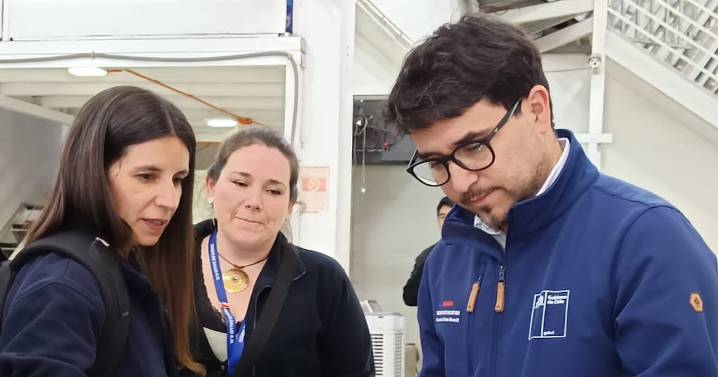 Clausuran e instruyen sumario sanitario a supermercado chino en Santiago: vendían aves exóticas, tortugas y pulpos mal faenados