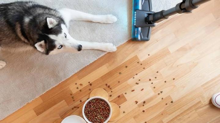 Las mejores aspiradoras sin cables de Dyson, Rowenta, Cecotec y otras marcas a precios 'black'