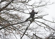 Desde Londres a Leitza por los secretos de los trasmochos