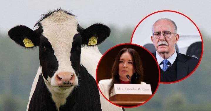 Brooke Rollins se reúne con Julio Berdegué para revisar el cierre fronterizo al ganado mexicano antes de su encuentro con Sheinbaum