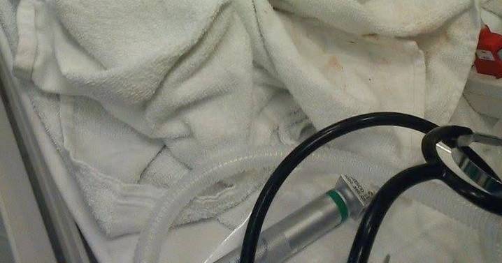 South West mum amazed as doctors put premature baby in Tesco sandwich bag