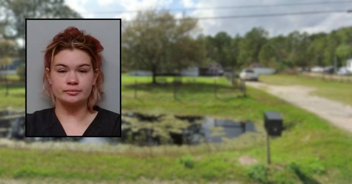 Florida woman arrested after 'rip roaring drunk' fracas in front yard, sheriff says
