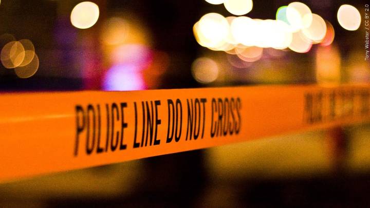 Bradley County woman arrested after dog reportedly shot