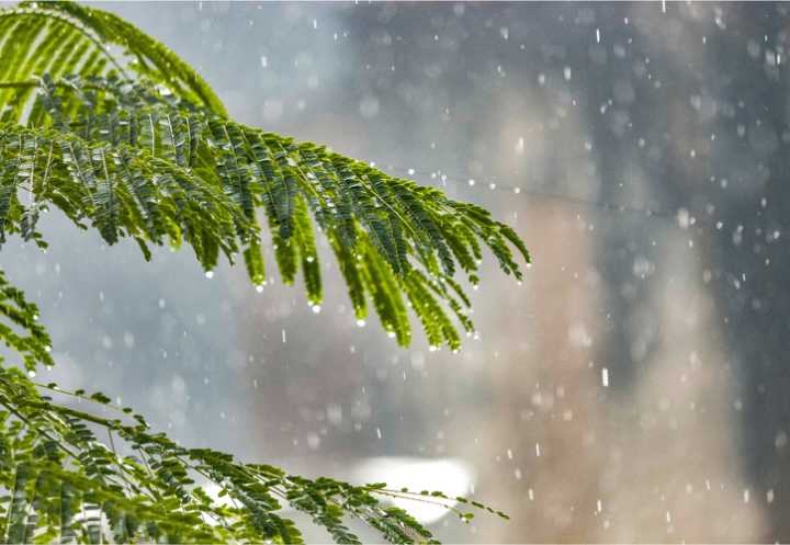 Clima en Cancún: Lluvias en el norte y centro de Quintana Roo