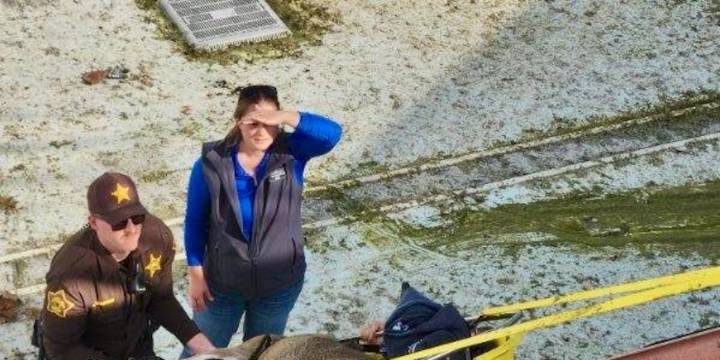 Deer rescued from Holiday World pool