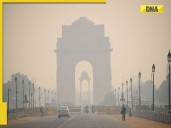 Should public health emergency be declared in Delhi? PIL filed in Supreme Court