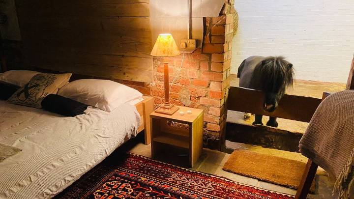 Unique Airbnb barn with miniature horse Basil costs $230 per night