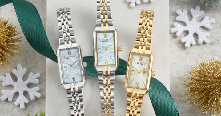H Samuel slashes £100s off 'beautiful' Citizen watches ideal for gifts