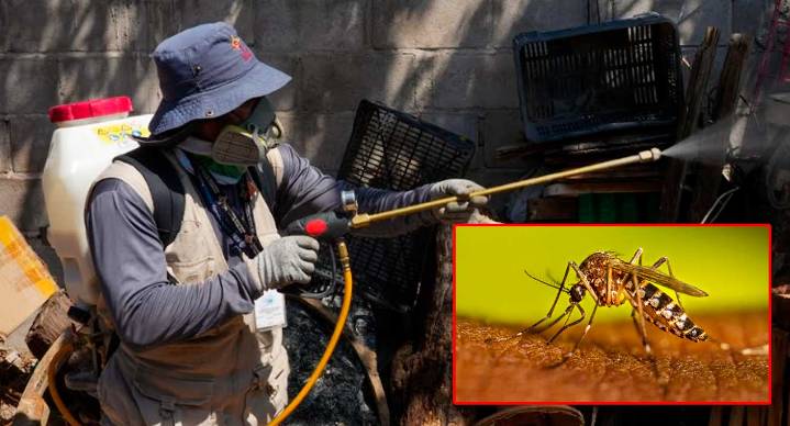 Descarta Salud fallecimientos por dengue en Sonora, van 294 casos confirmados