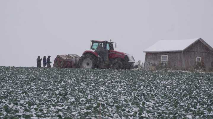Farmers' Almanac to stop publishing after 200+ years. See its final winter forecast for NY