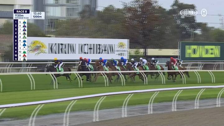 Tab Champions Stakes Day: Race 8 - TAB Champions Stake