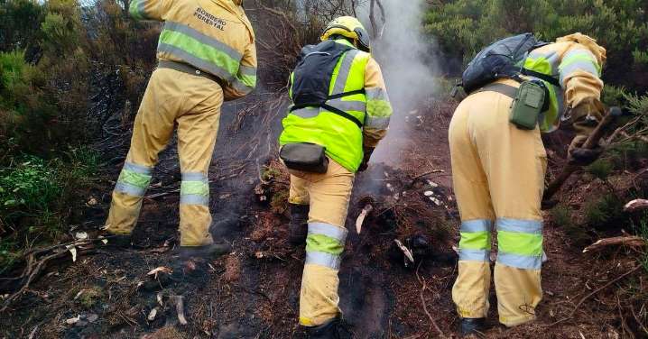 El fuego arrasó 349.984 hectáreas en España en lo que va de año, 3,4 veces más que la media de la década