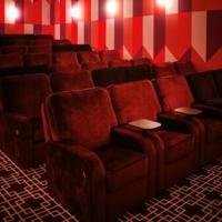 Paris's arthouse cinemas adapt to battle decline