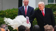 Trump adds two Thanksgiving turkeys to his long list of second
