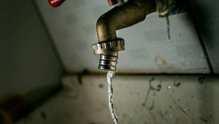 Fluoride Does Not Impact People's Cognitive Abilities, Says A Huge 40