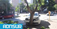 20:19 Choque en pleno centro: un auto terminó incrustado en un árbol de la avenida Argentina