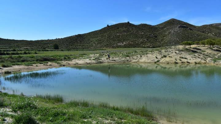 El Cerro del Tornajo de Lorca, un paso más cerca de su protección definitiva