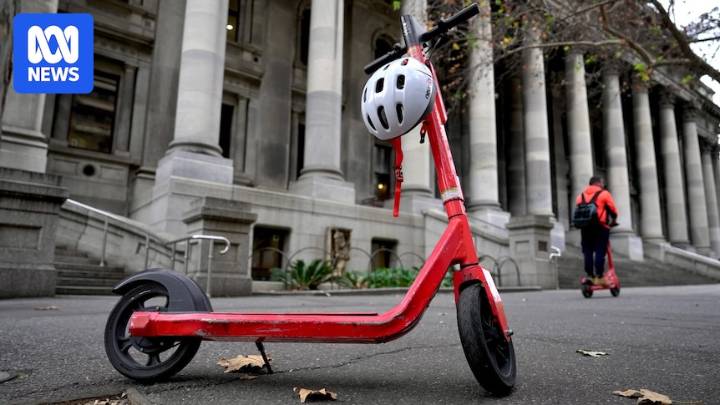Fatal e-scooter crash death prompts renewed road rule debate in SA