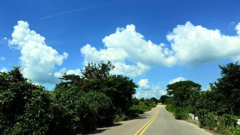 Gobierno de Rosario hará gestiones para limpieza de carreteras estatales