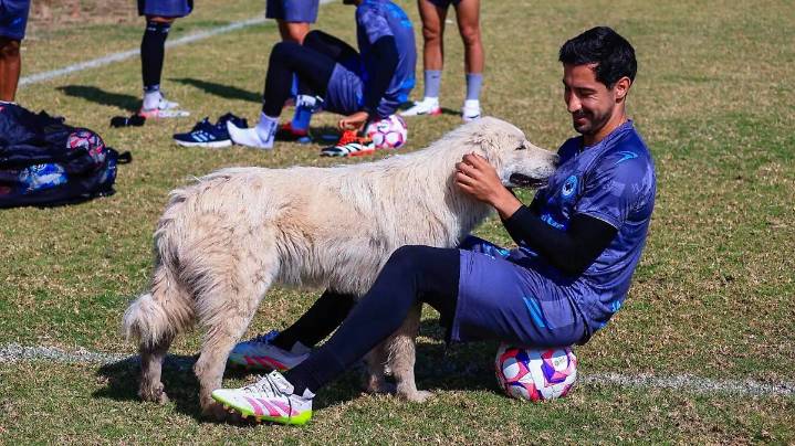 Jaiba Brava recibe a un inesperado `refuerzo´ durante su entrenamiento en Jalisco: un lomito