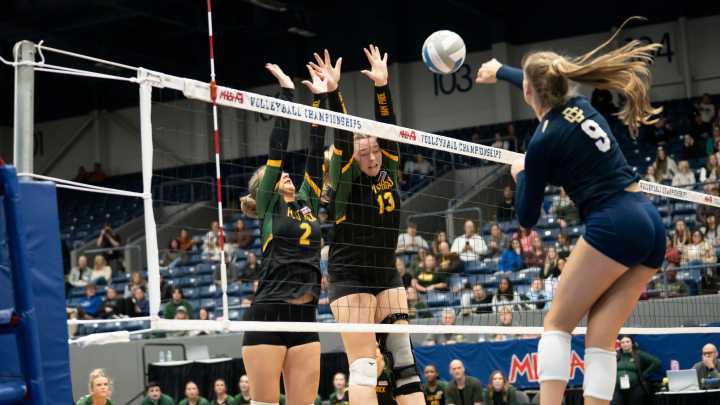 Flat Rock volleyball team meets its match in Division 2 state final