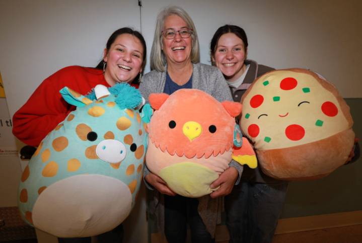 Ways to support the Edmonds Toy Shop during the holidays