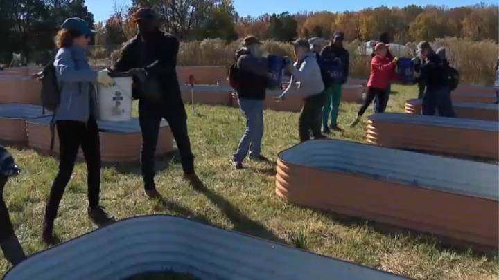 ‘Community, not just food': Volunteers help local garden amid shutdown