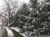 Light snow coats ground in parts of N.J. See snow totals in 3 counties.