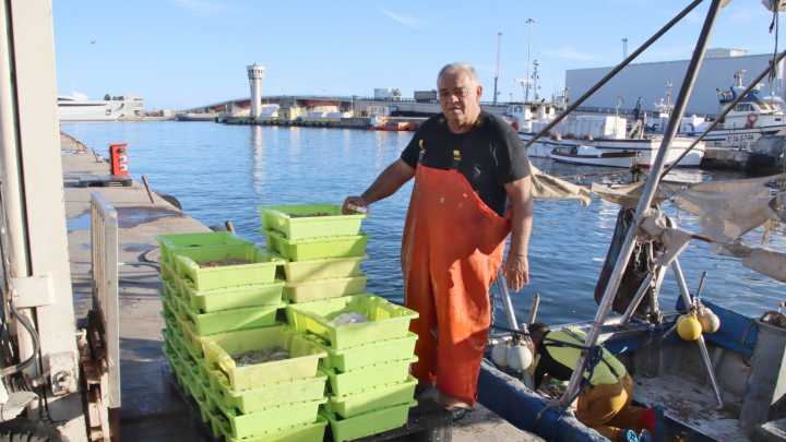 La pesca de arrastre en Tarragona se detiene: la mitad de la flota agota sus días y queda amarrada a puerto