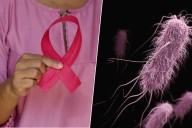 Llevamos 150 años creyendo que las bacterias son un arma contra los tumores. Y al fin hemos descubierto cómo