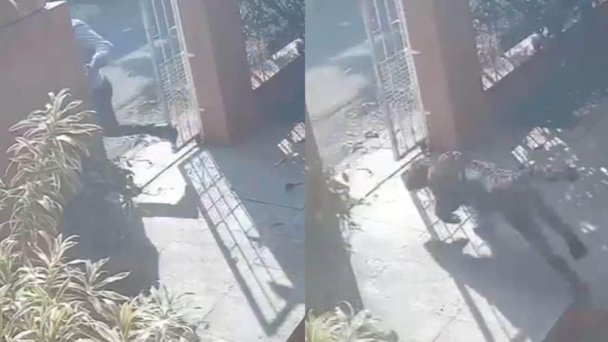 ‘Gate Band Rakha Karo’: Nashik Family Runs For Life As Leopard Chases Them, Horrifying Scene Caught On CCTV