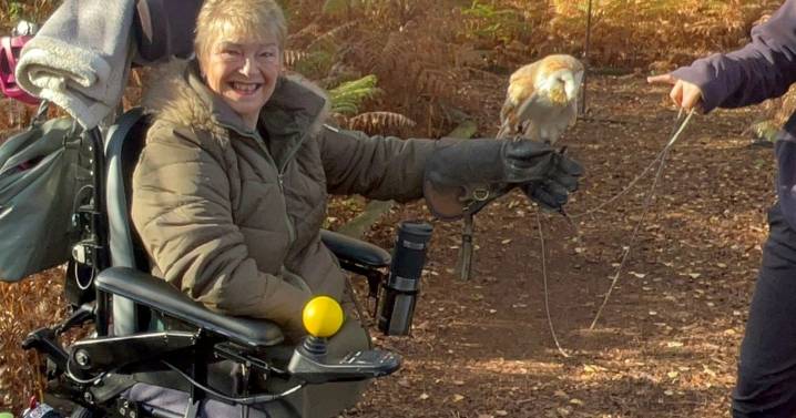 'I lost all four limbs after nightmare Alicante holiday'