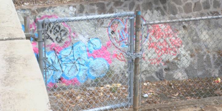 Kahala residents push for removal of homeless camps along stream