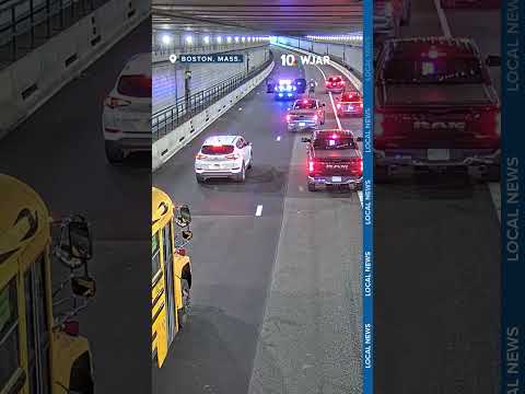 Police rescue dog from tunnel