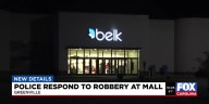 Man arrested for strong-arm robbery at Haywood Mall, police say