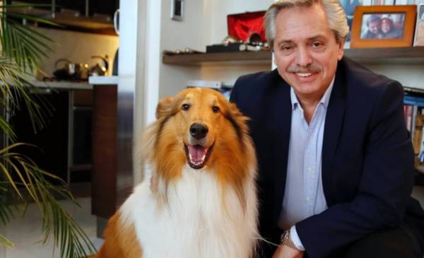 Murió Dylan, el perro de Alberto Fernández: “Te despido con mucho dolor”