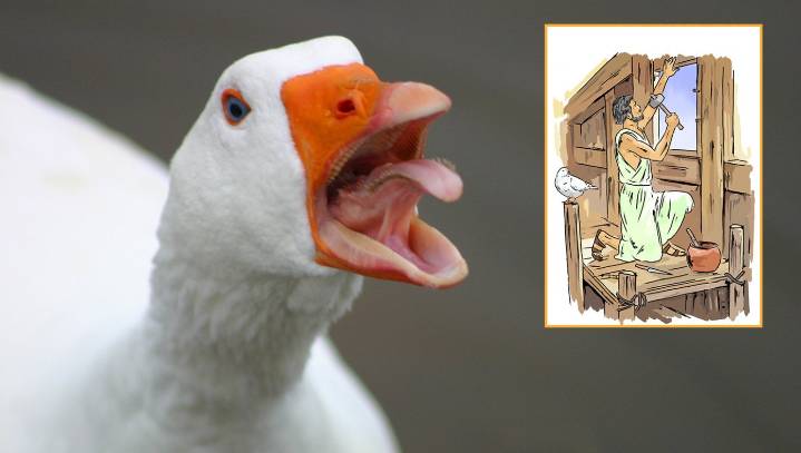 New Evidence Reveals Noah Immediately Regretted Letting Geese Board Ark