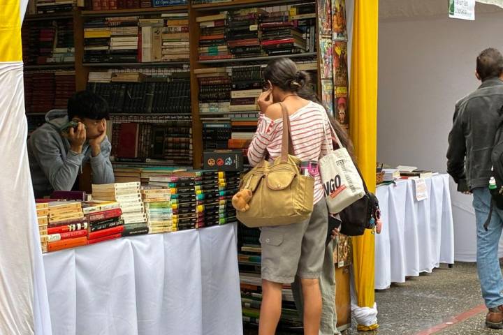 Ferias del Libro dan un respiro a un sector editorial afectado por la crisis económica