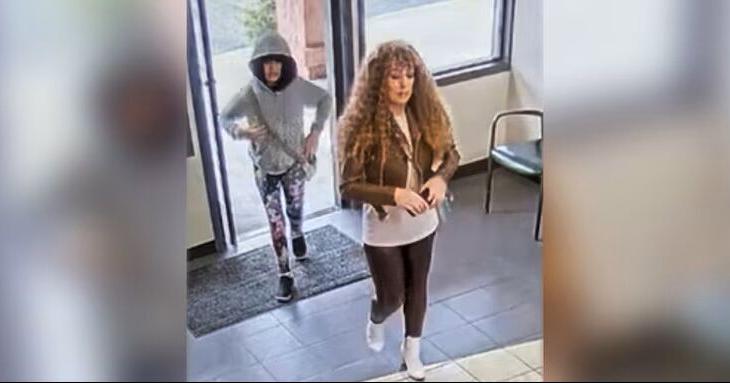 Mom of missing girl Melodee Buzzard switched license plates during road trip: Officials