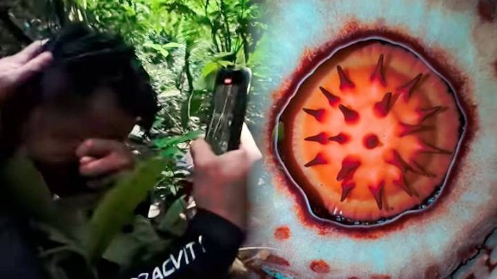 Este científico buscó durante 13 años esta rara flor en la selva de Indonesia. Así reaccionó al encontrarla