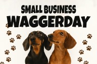 Rocket Fizz Traverse City hosts Waggerday to aid Cherryland Humane Society