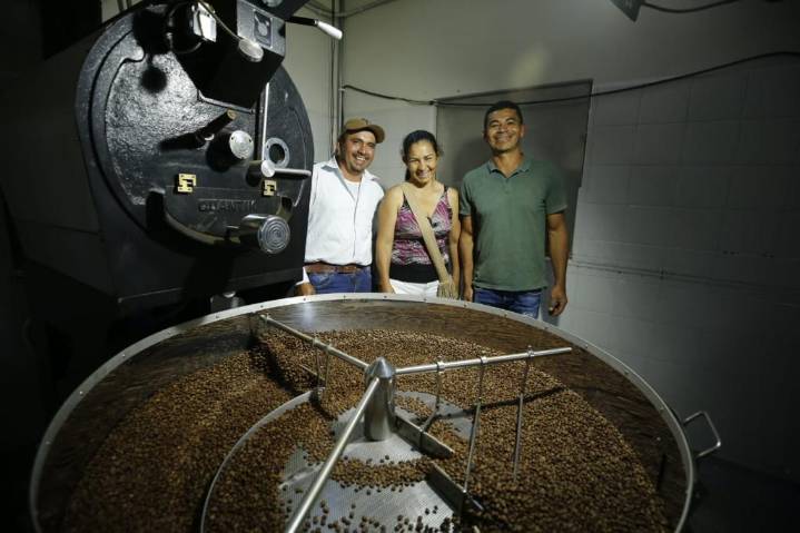 Cafés especiales de la Provincia de Lengupá llegarán a mercados internacionales