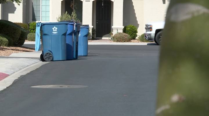 'It's just evil': Henderson residents outraged after abandon dog found in trash bin