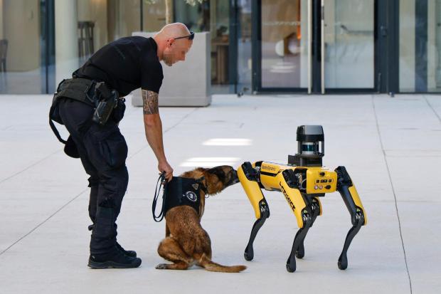 A $100,000 robot dog is becoming standard in policing