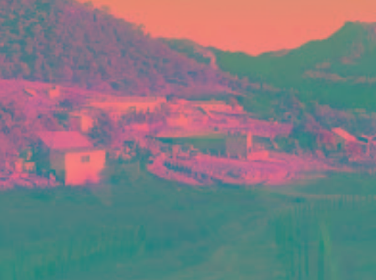 La Droga es de Quien la Trabaja