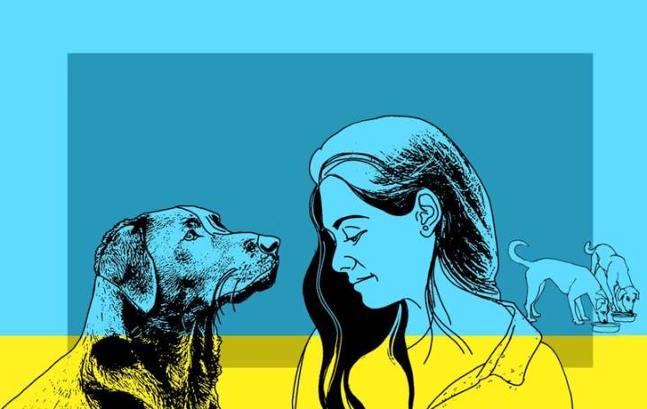 Adopt a humane path to manage stray dogs