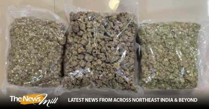 DRI Mumbai seizes drugs in food packets- Hydroponic weed worth Rs 42 crore seized at Mumbai Airport; two arrested